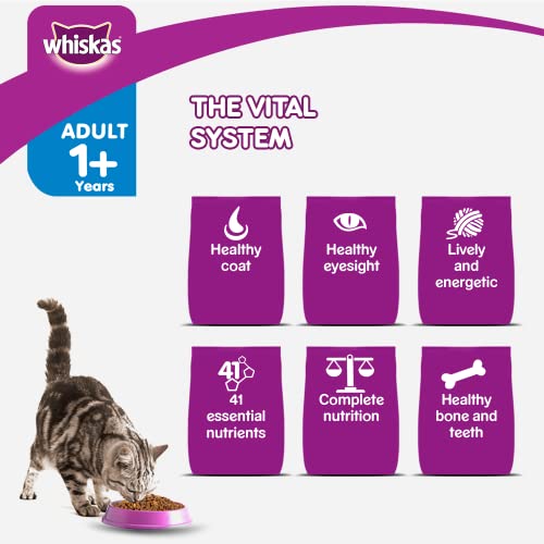 Image of Whiskas Adult (1+ Year) Dry Cat Food Food, Ocean Fish Flavour, 50g