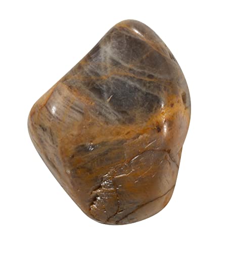 The Chrysalis Stone | Tumbled Stone | Black Moonstone | Size 0.75