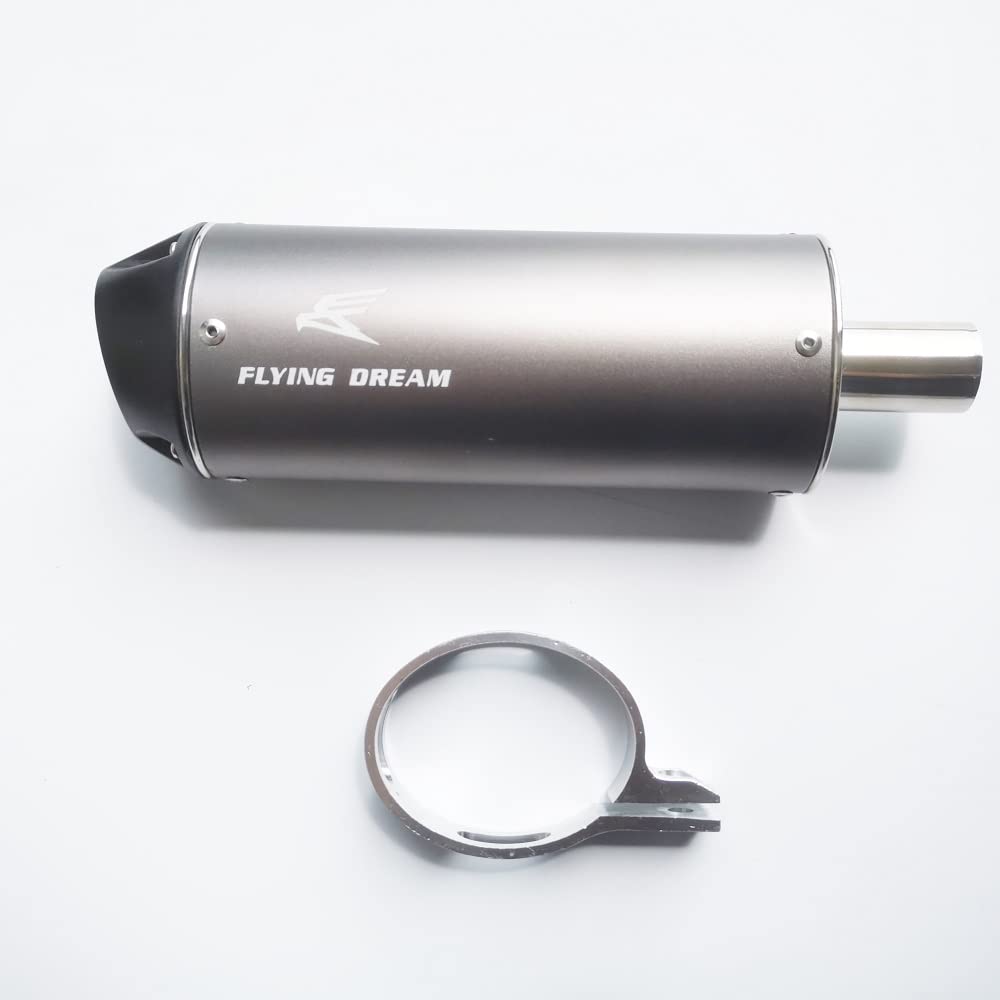 FLYINGDREAM Noise Reducer Exhaust Muffler 28mm/38mm For Chinese Dirt Pit Bike ATV Motorcycle 125cc 140cc 150cc 160cc 190cc Lifan Yx Stomp SDG Motorcycle Black (28MM)