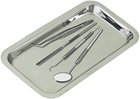 Small Instrument Tray, Stainless Steel Rectangular Tray Small Laboratory Supplies Tray for Lab Tool (22.5x12cm) (1)