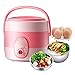 Elektryczne pudełko na lunch ，Dwuwarstwowy pojemnik do podgrzewania żywności ，Przenośny, wielofunkcyjny, stal nierdzewna Artefakt gorącego ryżu Mini urządzenie do gotowania ryżu ，Utrzymanie ciepła ，