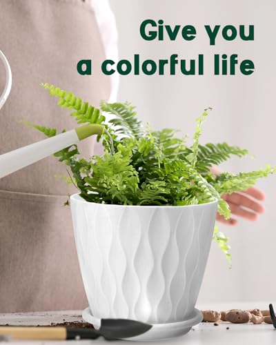 Goproauto 6 Inch Indoor Planter Pots with Drainage Hole and Tray Saucer,Flower Pots for Indoor Outdoor Garden Plants and Flowers, Multicolor, 5 Packs (White)