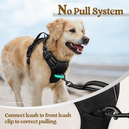 Image of rabbitgoo Dog Harness No Pull with 2 Leash Clips, Adjustable Soft Padded, Reflective Oxford No Choke Pet Vest with Easy Control Handle for Small Dogs, Black, S