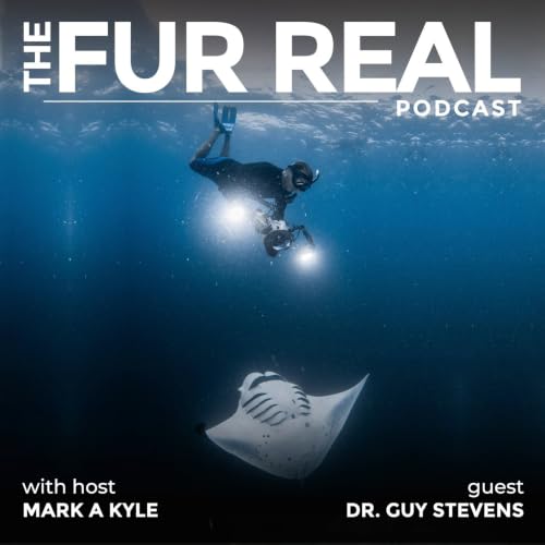 "MANTA RAYS: Huge Wings, Bigger Brains!" with Dr. Guy Stevens