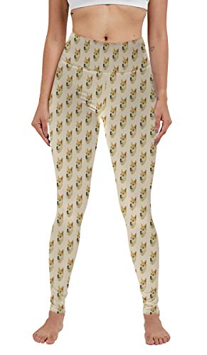 Women's Performance Active wear - Lightweight Printed Yoga Leggings,Cartoon Fun Doge Such Leggings