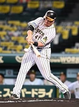 阪神タイガース ボーア ユニフォーム ビジター　Lサイズ 阪神タイガース ボーア ユニフォーム ビジター Lサイズ