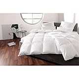 Schäfer Bettdecke Winterdecke 100% Daunen 135x200cm (900g) Kassettenstegbett Daunendecke