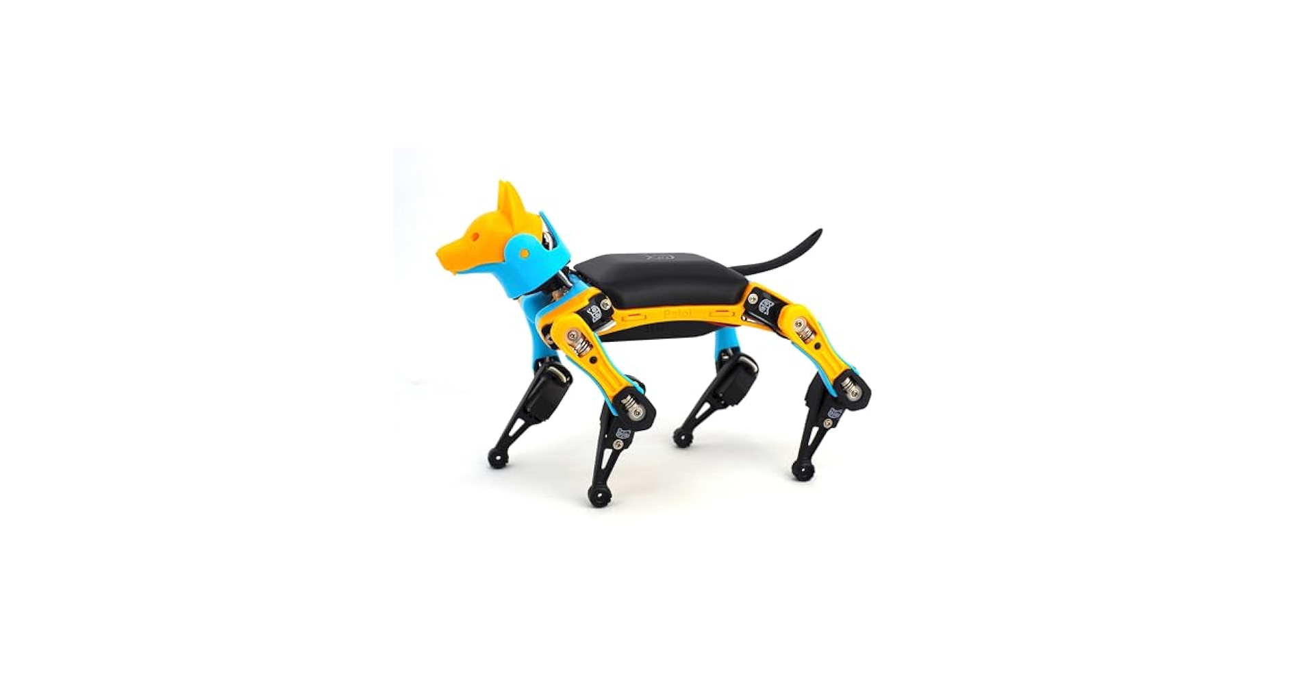 41W10xP7QXL.jpg_BO30,255,255,
