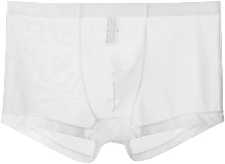Mens Sheer Mesh Boxer Briefs Pouch Trunks Lightweight Underwear