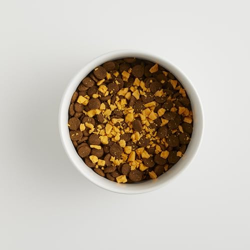 Freeze Dried Cheese Canine Treats – Grain-Free, Excessive-Protein Pasteurized Canine Treats Made in The USA – Human-Grade, Minimally Processed & Preservatives Free Freeze Dried Cheese Canine Treats – Grain-Free, Excessive-Protein Pasteurized Canine Treats Made in The USA – Human-Grade, Minimally Processed & Preservatives Free