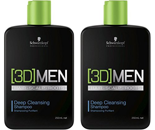 Preisvergleich Produktbild Schwarzkopf 3D Men Tiefenreinigendes Shampoo 2x 250ml = 500ml