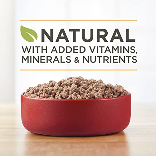 Image of Purina ONE Classic Ground Natural Grain Free Wet Dog Food, True Instinct With Real Gamebird - 13 oz. Can