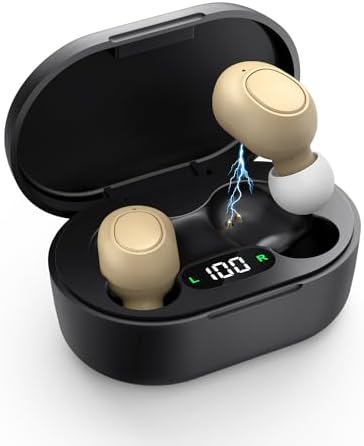 Hearing Aids for Seniors - Hearing Aid Rechargeable for Hearing Loss with Intelligent Noise Reduction,Invisible Audien Hearing Amplifier with Volume Control and Portable Charging Case