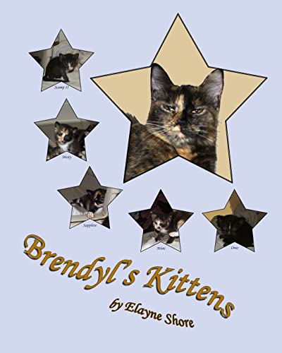 Brendyl's Kittens (Kittens, Kittens & More Kittens)