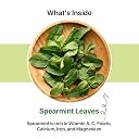 BLUE TEA - Spearmint Herbal Tea - 100 gm -100 Cups (Pack of 2) | Pcos Relief | Balances Hormones, Reduces Facial Hair & Acne and Supports Digestion | Herbal Tea - Dried Loose Leaf - Caffeine Free | Reusable Pet Jar gallery image