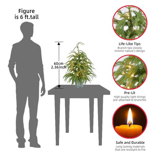 HipTree 2ft Pre-Lit Real Touch Norfolk Mini Christmas Tree for Table Decor