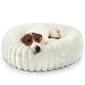 Donut Small Dog Bed Washable – Dog Beds for Small Dogs and Cats with Corduroy Fleece & Anti Slip Bottom, Calming Round Faux Fur Cute Pet Bed for Puppy Kitten, Cream, 23x23x6 inches