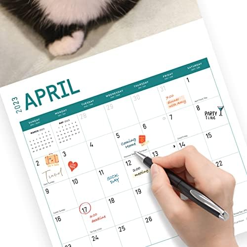 2023 Rescue Cats Monthly Wall Calendar by Bright Day, Calendars For A Cause, 12 x 12 Inch