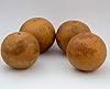 Cannon Ball Gourds, Box of 20, Washed and Ready to Craft! #2