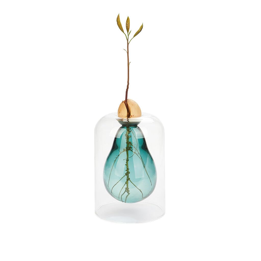 B&Q -  Decorative Avocado Shaped Green Glass Cultivator Seed Growing Flower Vase