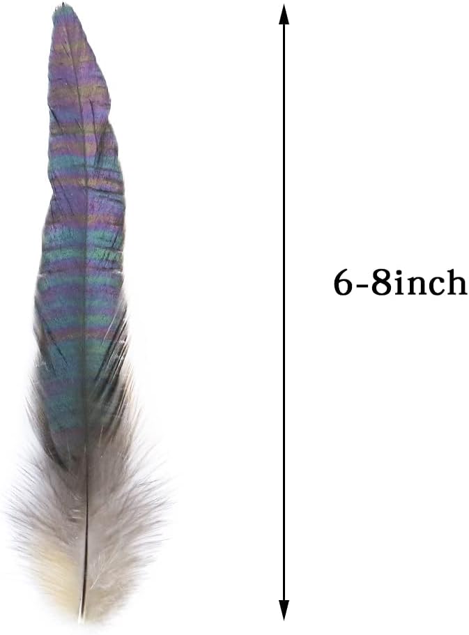 Zamihalaa - 50Pcs/Bag Natural Rooster Feathers Black 6-8inch Decorative for Crafts DIY Clothing Dress Sewing Material Plumes