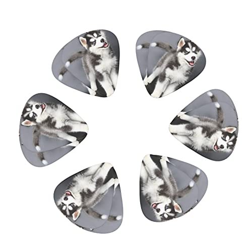 Ensemble de 12 médiators de guitare pour chien Husky mignon pour guitare acoustique, guitare électrique, contrebasse… - Les Beatles, Paul McCartney, John Lennon, RIngo Starr, George Harrison Ensemble de 12 médiators de guitare pour chien Husky mignon pour guitare acoustique, guitare électrique, contrebasse… – Image 3