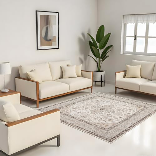 6x6 Rug Square Living Room: Washable 6ft Square Soft Distressed