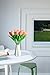 SITUMEIZI Fake Tulips Artificial Flowers Real Touch Champagne 14