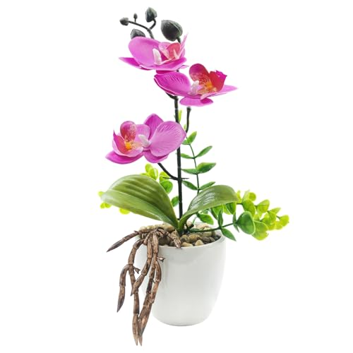 Image of KARP Artificial Potted Plants, 27Cm Height Mini Faux Orchid Flowers Plant with White Ceramic Pots Home Decor, Indoor Artificial Ornamental Plants for Living Room, Office Desk & Bathroom, Decorative