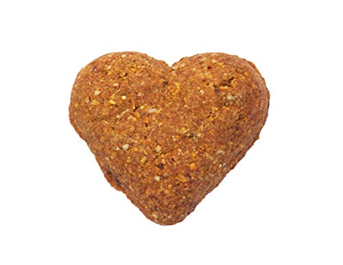 Grain Free Salmon Recipe Dog Treats, 12Oz #TOP3