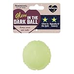 Rosewood Glow In The Dark Dog Ball - Reflective Dog Toy with Interactive Squeaker, Bouncy Ball for Fetch Games, Great for Night-Time Fetch and Play
