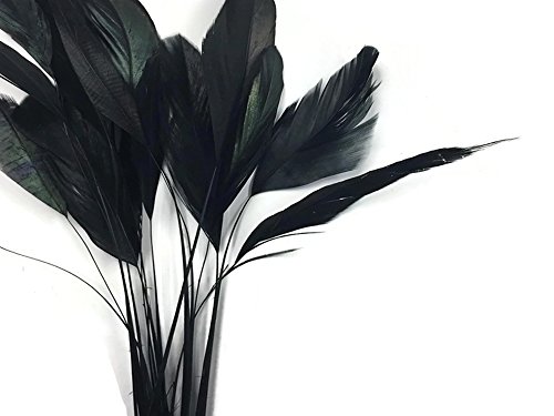 Moonlight Feather | 1 Dozen - Black Stripped Rooster Coque Tail Feathers Craft Costume Supply #TOP5