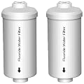 H&G Lifestyles 2 Packs Fluoride Water Filter, Replacement for Berkey® PF-2®, Fluoride Arsenic Reduction Elements, Compatible with Berkey® Gravity Filtration System, Remove Odor Improve Water Taste