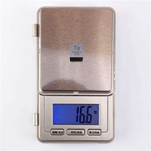 BicBugs Papilio blumei Blue Black hindwing Earrings