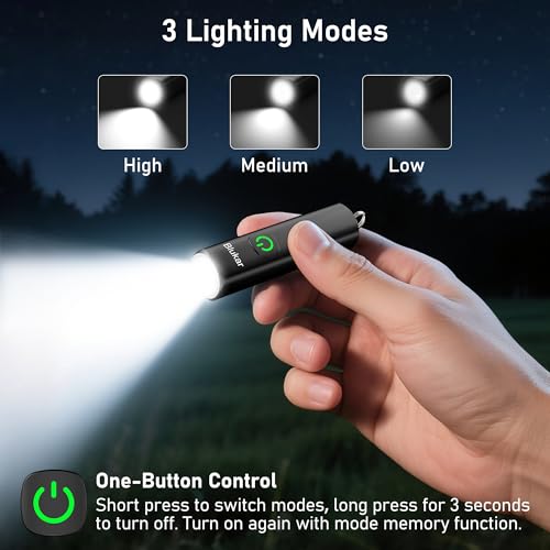 Blukar Taschenlampe LED Aufladbar, 360L Mini EDC Taschenlampen mit 3 Lichtmodi, Klein Flashlight Tragbar mit Schlüsselanhänger, IPX6 Wasserdichte Handlampe für Wandern, Outdoor, Camping usw. -2 Stück