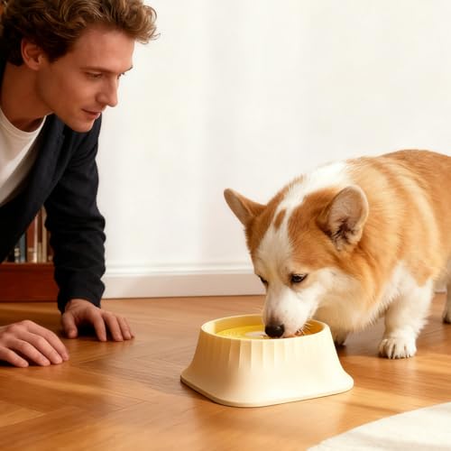 Dog-Water-Bowl-Stainless-Steel-Compact-Pets-Travel-Bowls-Spill-Proof-Large-Capacity-Floating-Dispenser-for-Puppy-Animal-Traveler-Car-Crate-House-Outside-Feeding-Drinking-Watering-Tipping-Night | Dealmeister.io Alt tag für bilder post titel