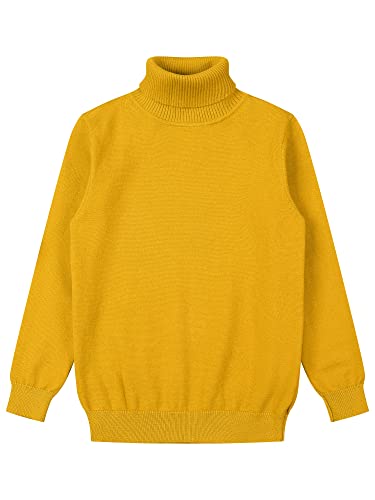 Boys Girls Turtleneck Cable Knitted Sweater Slim Fit Pullover Sweater for Kids3
