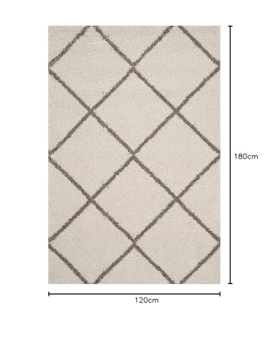 Image of Trellis Design Microfiber Hand Woven Shaggy Carpet Collection with 2 inch Pile Height Carpet for Living Room Size 4x6 feet coular Ivory /Beige