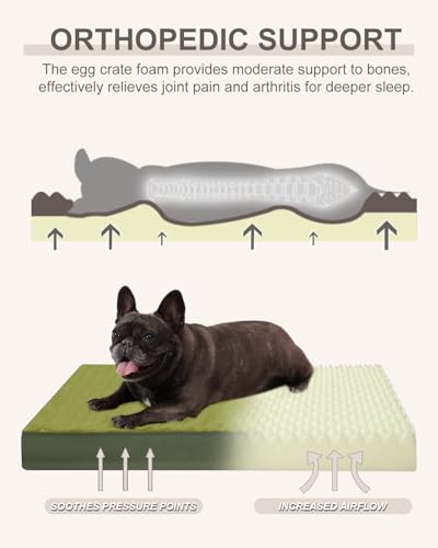 Image of KSIIA Orthopedic Dog Bed for Medium Dogs with Waterproof Lining,Green,29x18 | Deluxe Soft Plush Dog Crate Bed, Washable Pet Mat with Removable Cover & Egg Crate Foam for Medium Dogs Sleeping & Relaxing
