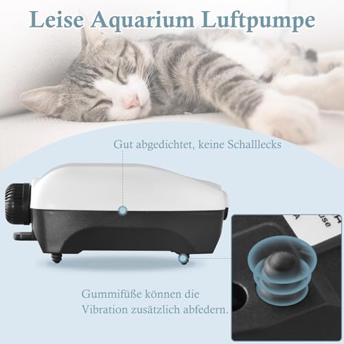 Dosierpumpe für Aquarien mit 2 Ausgängen von FEDOUR