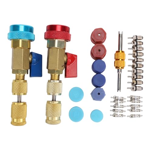 Aramox Set para Remover Núcleo de Válvula R134A, 31 Piezas