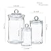 Whole Housewares - Set of 3 Bathroom Canisters - Storage Container Jars - Premium Glass Apothecary Jars with Lids - Small Glass Jar for Kitchen or Bathroom Storage - Decorative Crystal Containers