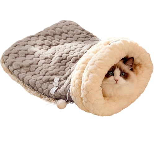 ~̔L̑^͑_E|PbgL̑Q܂̑g̑ybgpi (AbvO[h-O[,L)