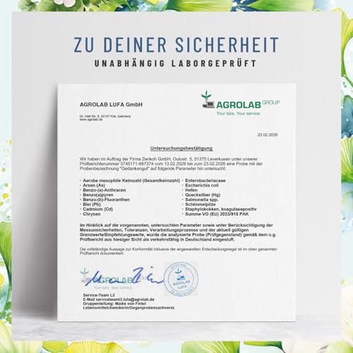 NATURTREU® Ginkgo-Biloba 50:1 & Löwenmähne Pilz Komplex - mit Brahmi-Extrakt Cholin & L-Cystein – 120 Kapseln vegan und hochdosiert mit 30% Polysaccharide und 5% Beta-Glucane
