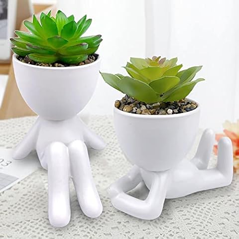 ODIWEN 2Pcs Plantas Suculentas Artificiales Cover