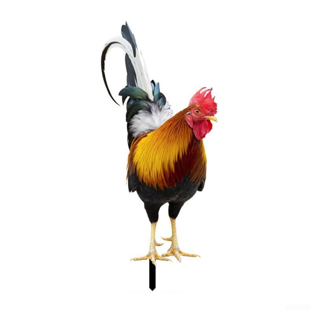 Rooster Statue for Gardens, Eye Catching Chicken Decoration for Lawns (A)