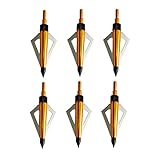 6pcs 100 Grain Broadheads Practice/Hunting Arrow Points Fits Compound Bow Arrows and Crossbow Bolts