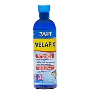 API 17590 Melafix, 16 fl. oz.