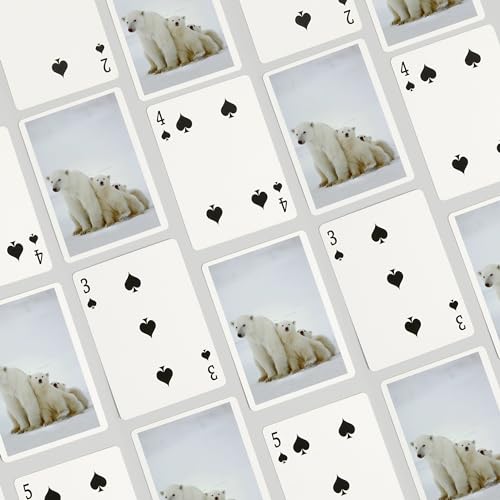 Lantern Press Polar Bear and Cubs Naipes Póker 52 cartas miniatura 4
