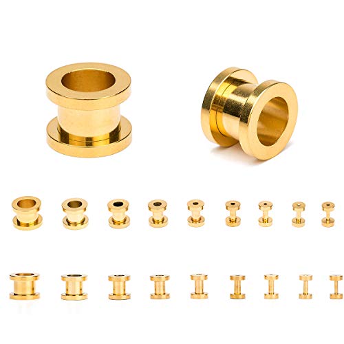 Cabbe 18Pcs Ear Tunnels Kit Stainless Steel Screw Fit 14G-00G Gauges Plugs Set Double Flared Stretcher Expander Body Piercing Jewelry (Goldtone) #TOP14